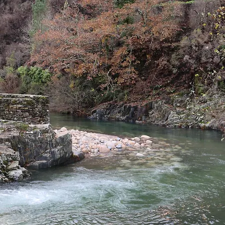 Medronhouse - Apartament