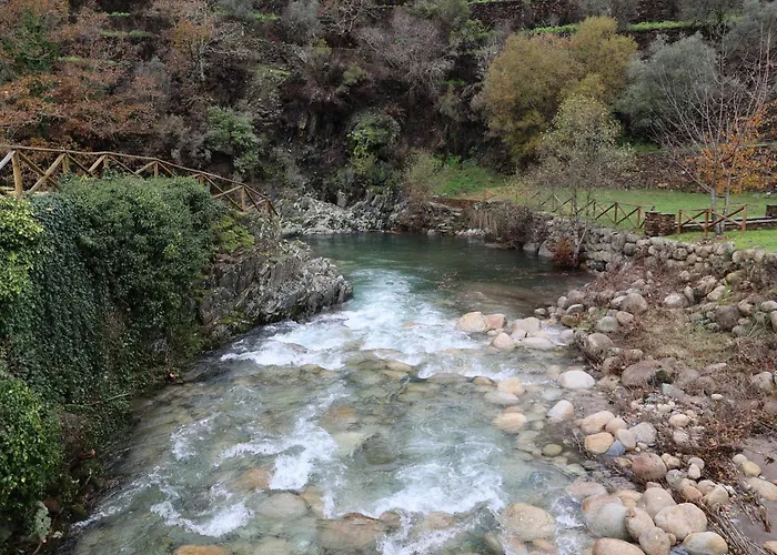 Medronhouse - Appartement *